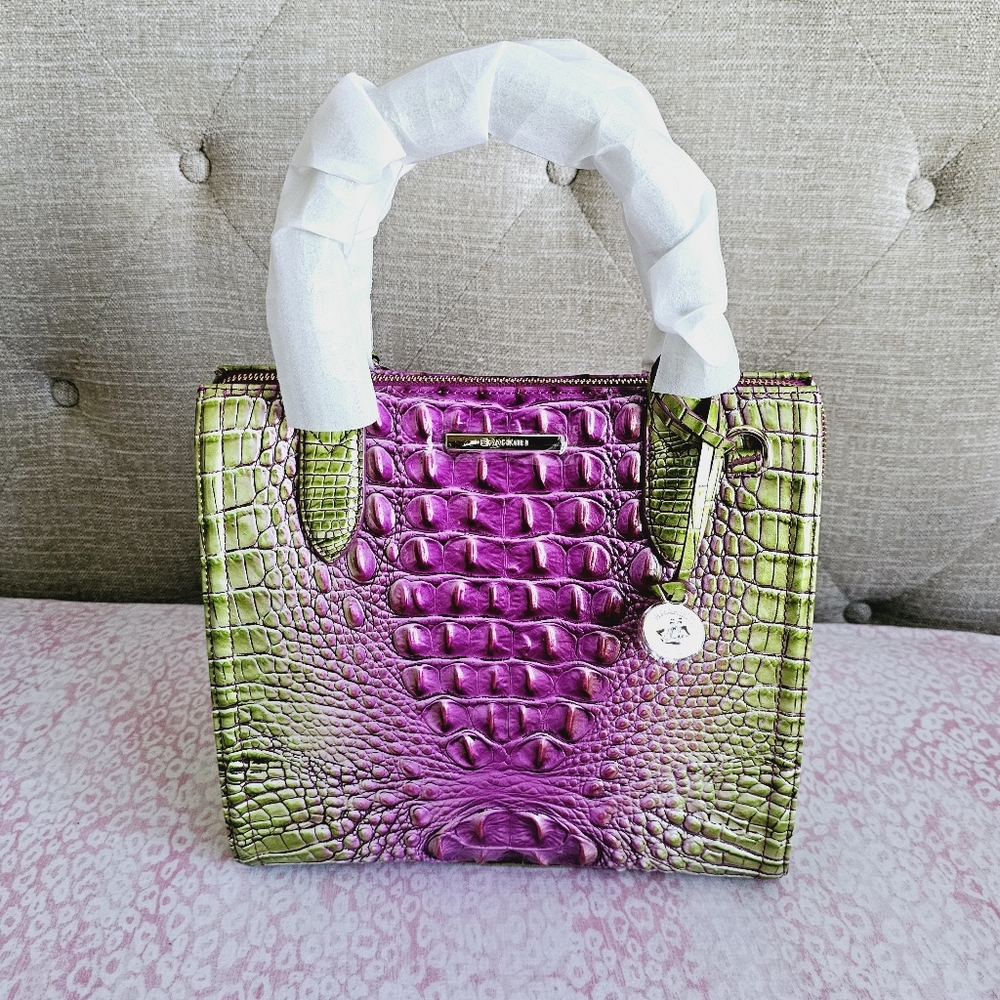 NWT Brahmin Limeade Ombre Melbourne Small Caroline - Picture 12 of 16
